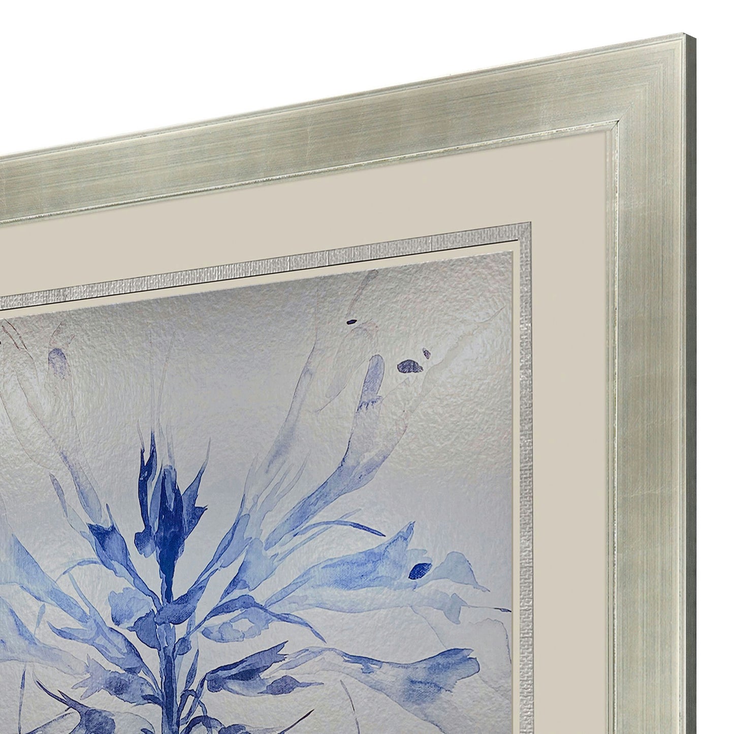 Paragon Sheer Beauty I