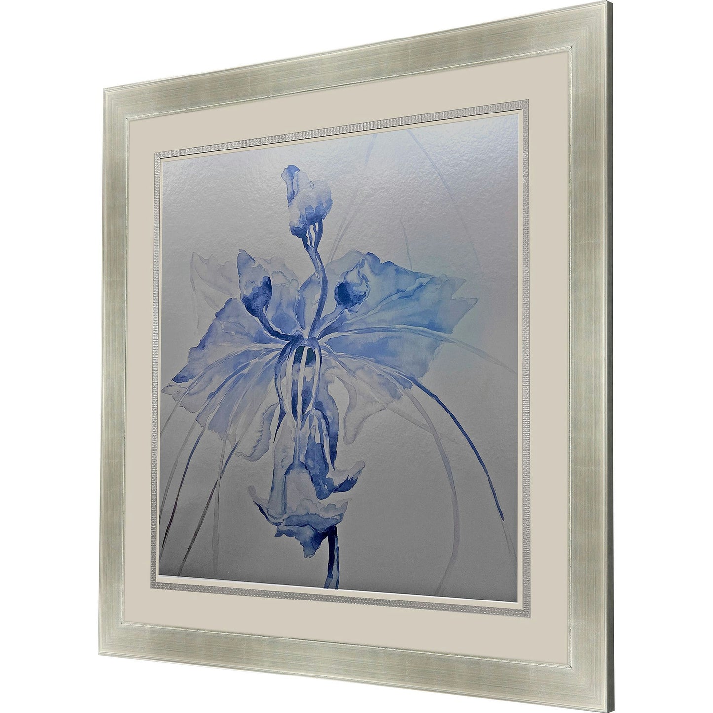 Paragon Sheer Beauty II