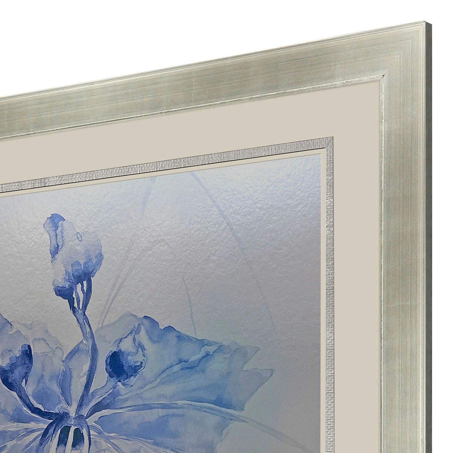 Paragon Sheer Beauty II