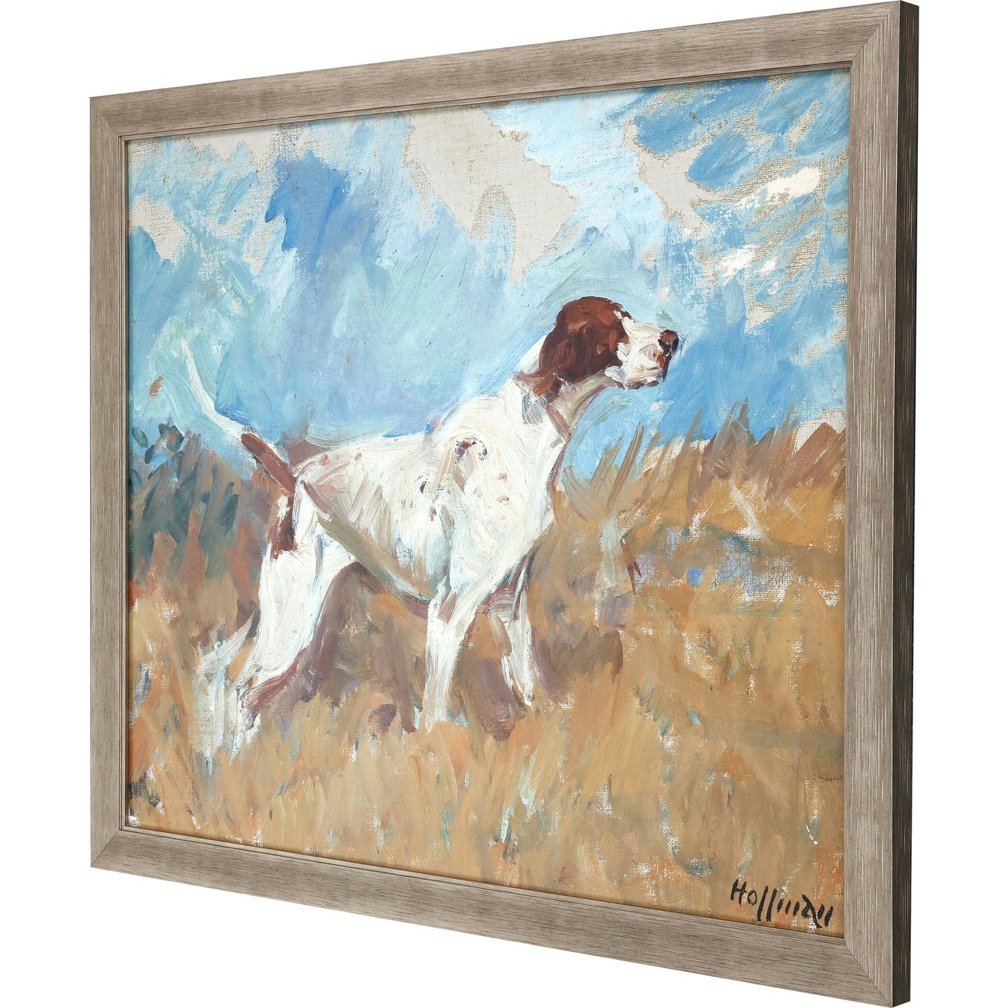Paragon English Setter on Watch