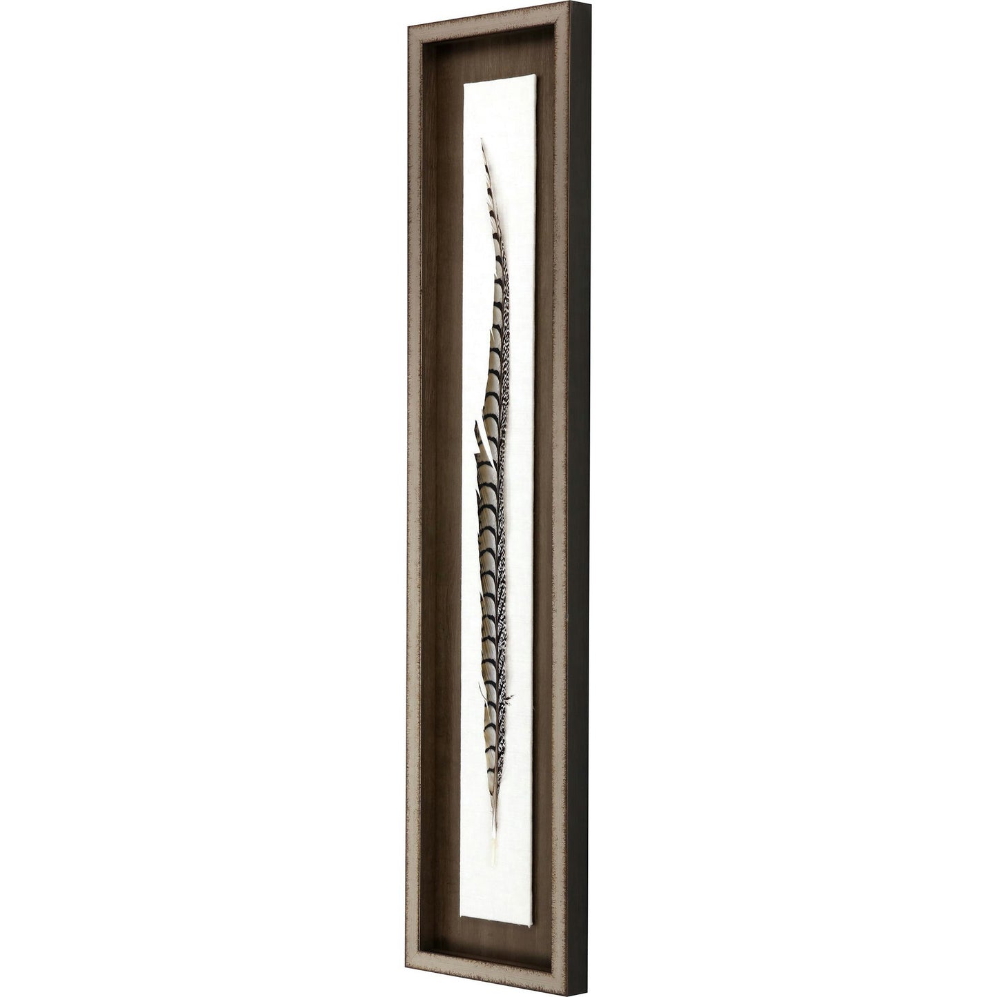 Paragon Lady Amhurst Feather