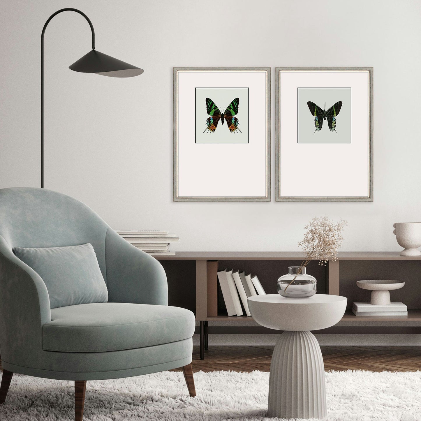 Paragon Great Butterfly I S/2