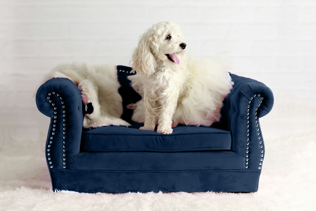TOV Furniture Yorkshire Navy Pet Bed