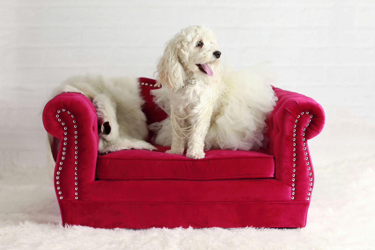TOV Furniture Yorkshire Pink Pet Bed