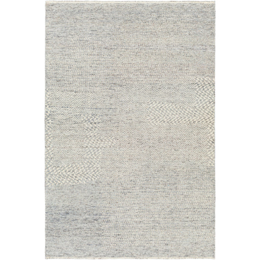 Surya Tunus Tun-2312 Light Gray Rug 9' X 12'