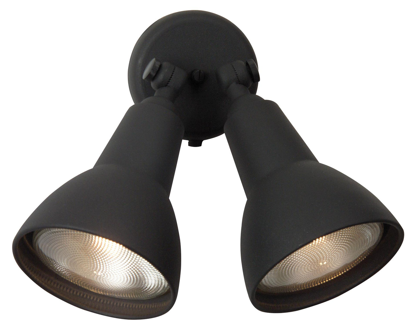 2 Light Directional Bullet in Matte Black