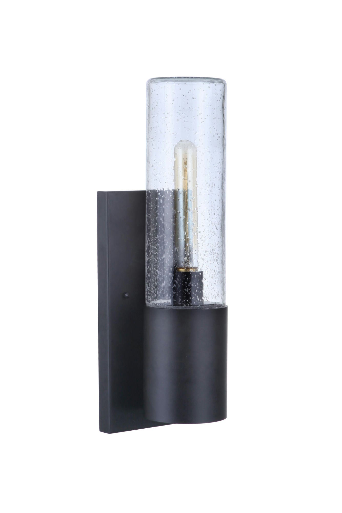 1 Light Wall Mount w/ LED Accent, ZA3910-MN-LED