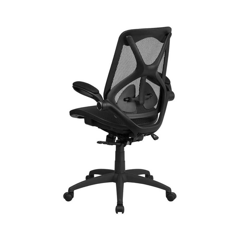 High Back Transparent Black Mesh Executive Ergonomic Office Chair with Adjustable Lumbar, 2-Paddle Control & Flip-Up Arms