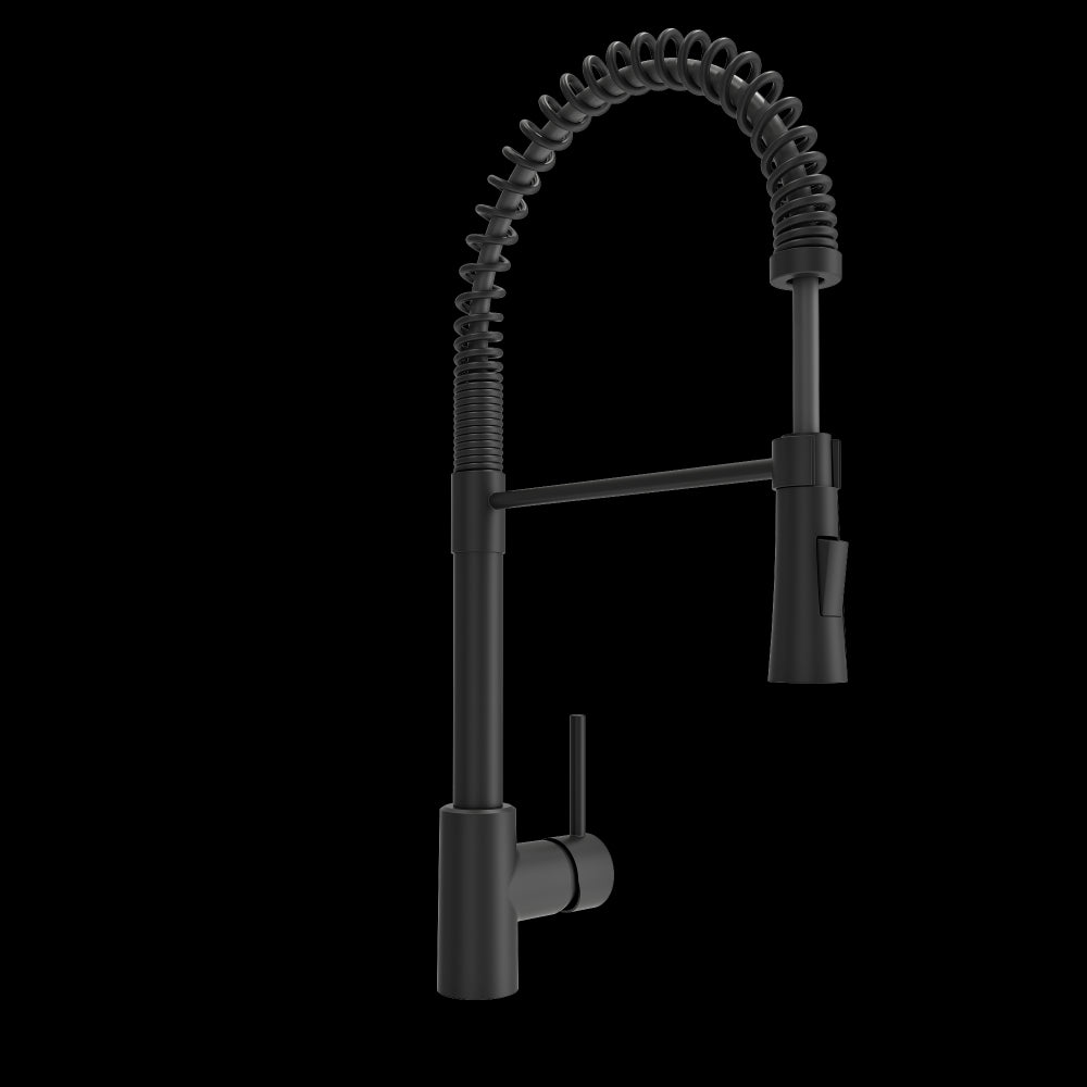 Livenza 2.0 Pull-Down Kitchen Faucet in Matte Black
