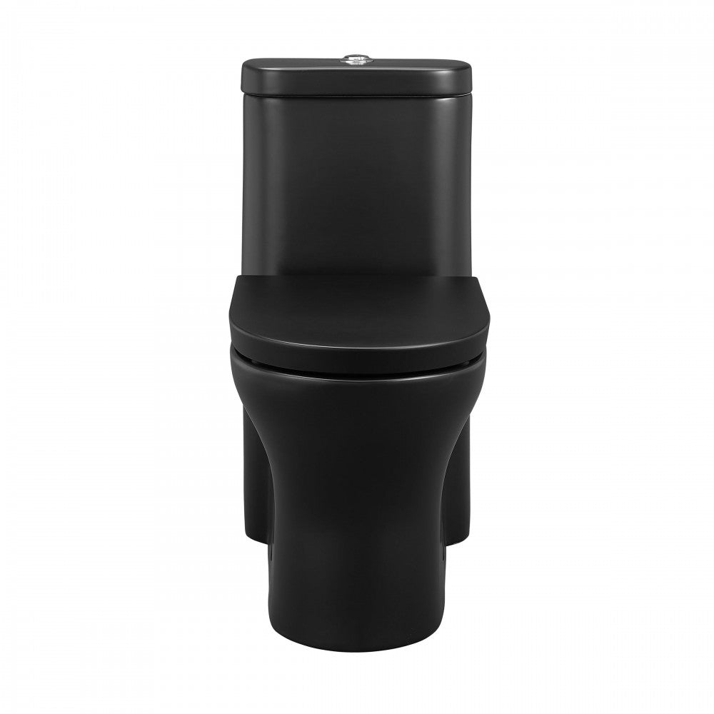 Monaco One-Piece Elongated Toilet Dual-Flush, Matte Black 1.1/1.6 gpf