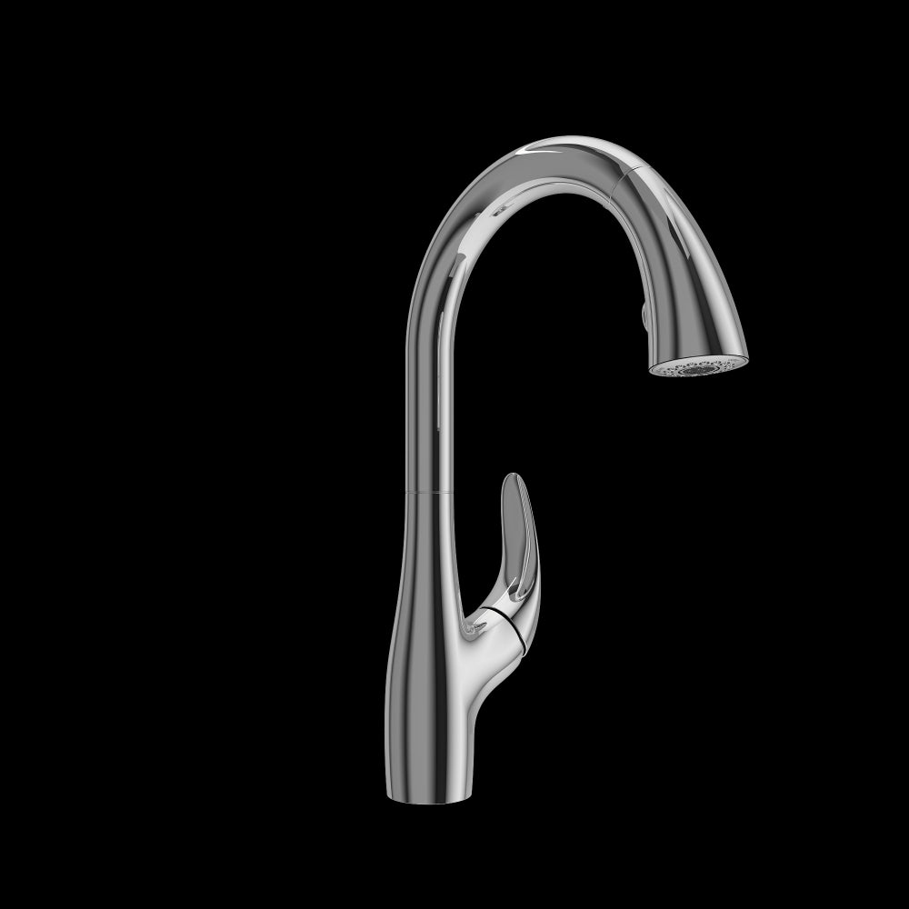 Pagano 2.0 Pull-Down Kitchen Faucet in Chrome