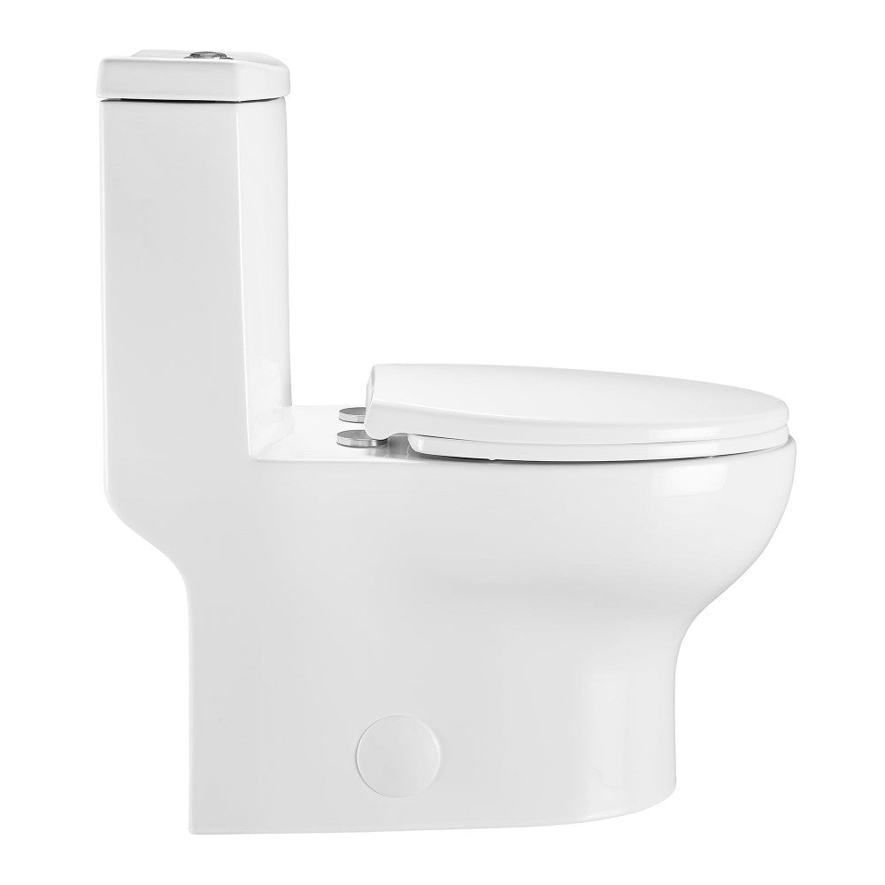 Plaisir One-Piece Elongated Toilet Dual-Flush 1.1/1.6 gpf