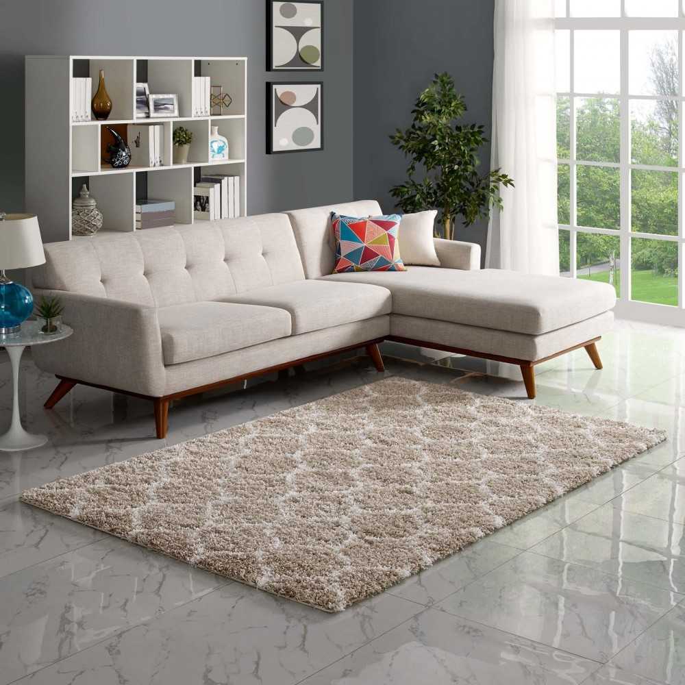 Solvea Moroccan Trellis 5x8 Shag Area Rug, Beige and Ivory