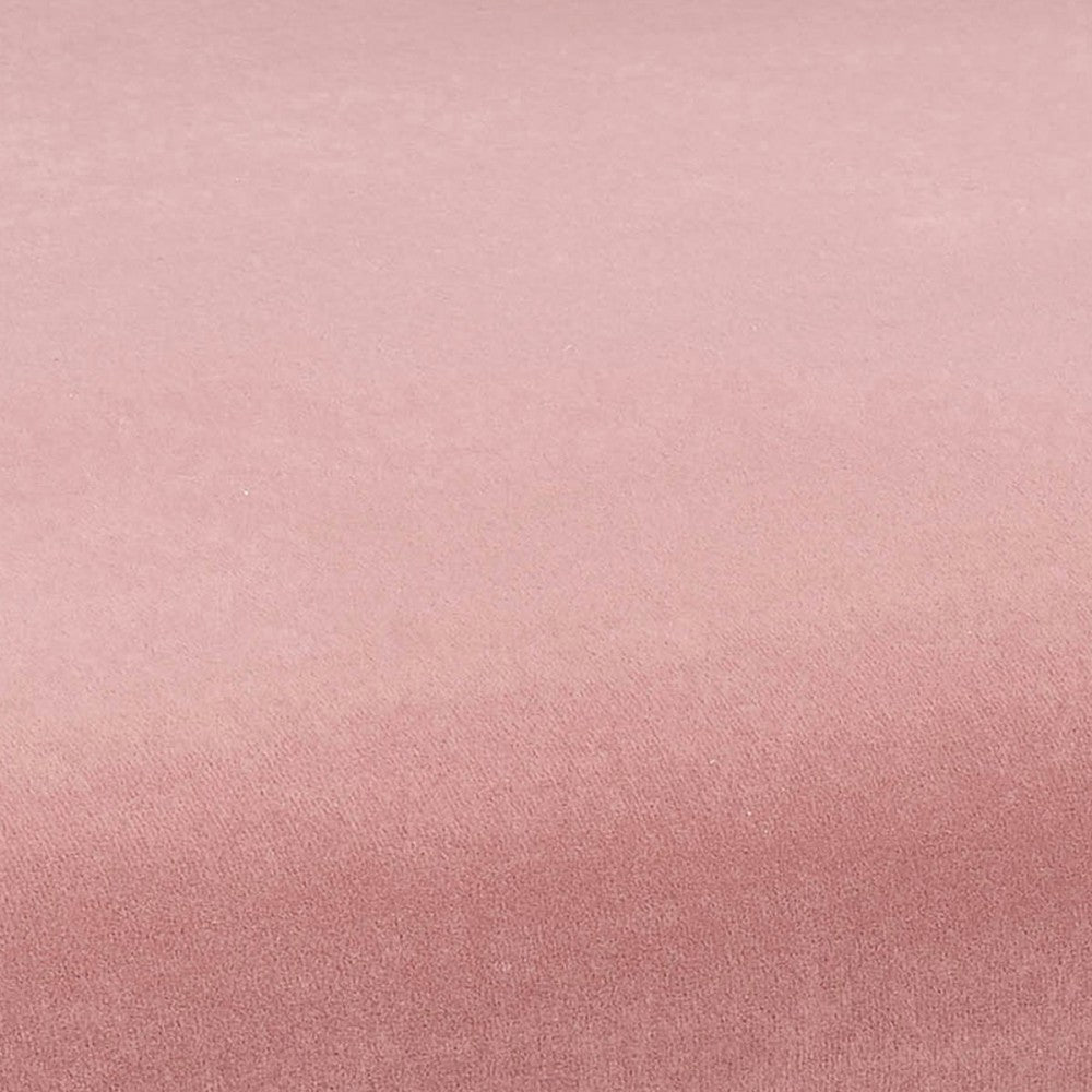 TOV Furniture Kim Performance Velvet Chair in Blush