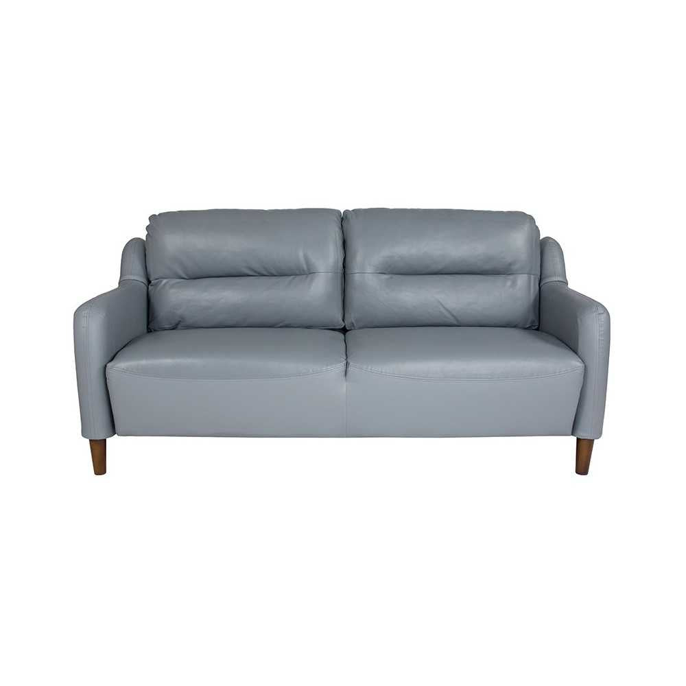 Newton Hill Upholstered Bustle Back Sofa in Gray LeatherSoft