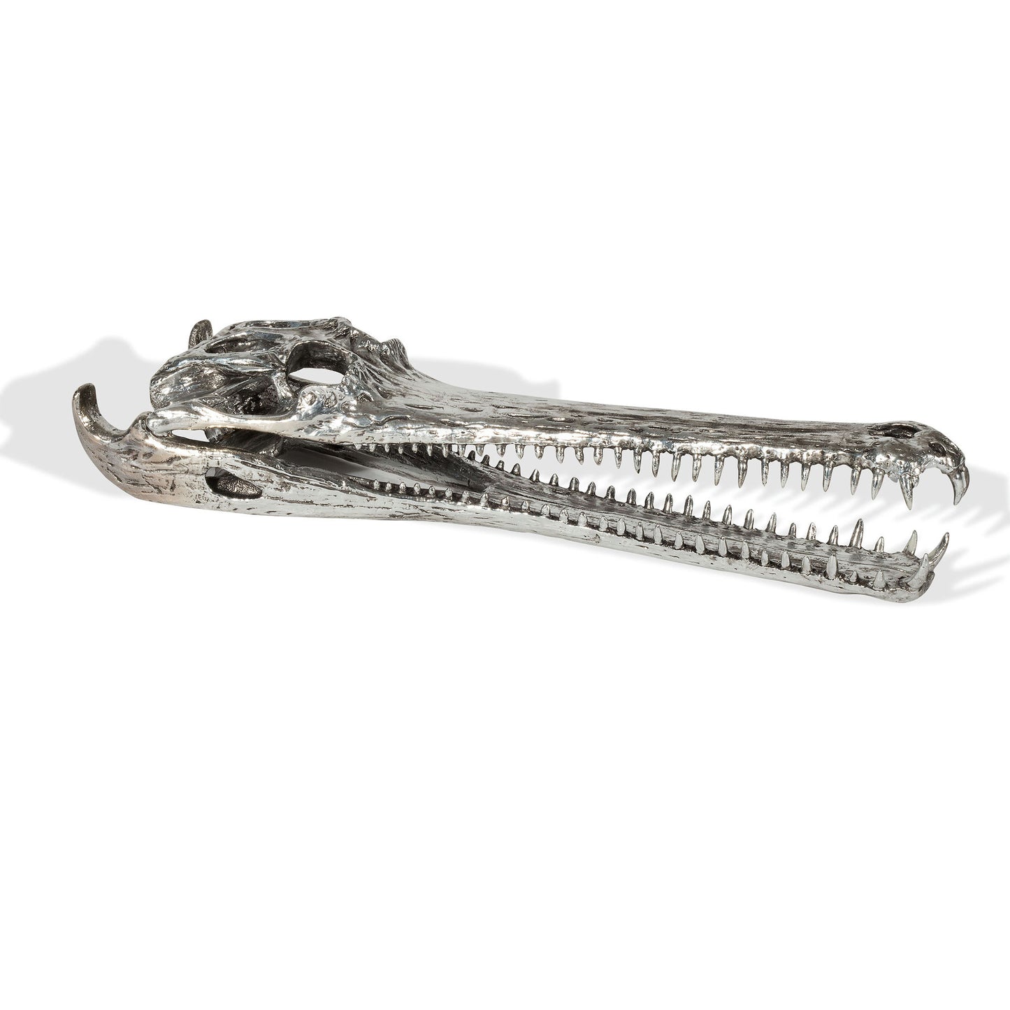 Prehistoric Fossil Decorative Accessory