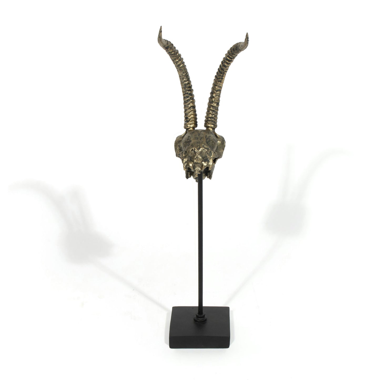 Mazi Decorative Skull