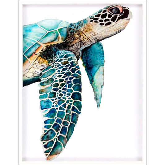 Paragon Great Sea Turtle