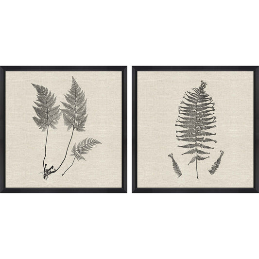 Paragon Modern Ferns I S/2