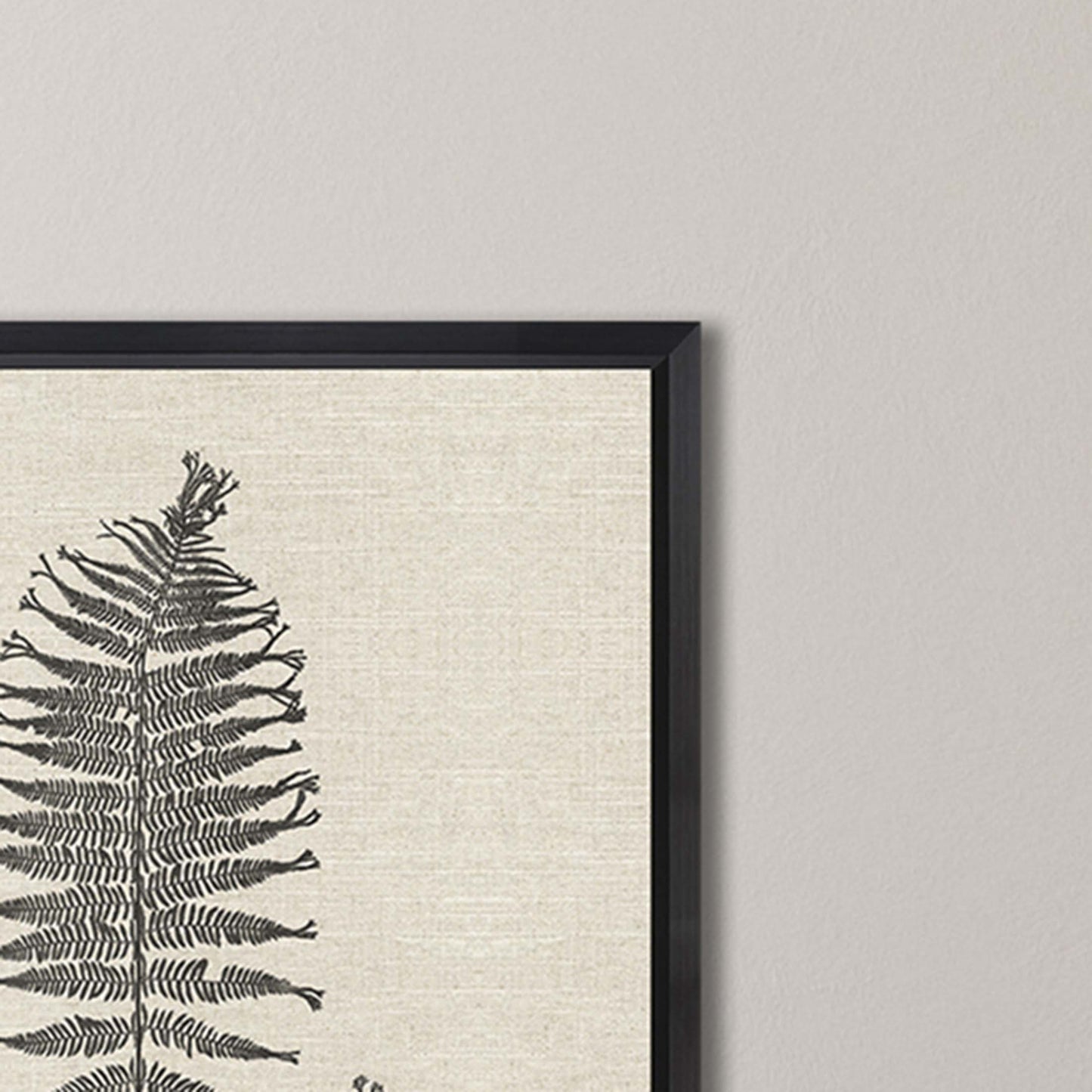 Paragon Modern Ferns I S/2