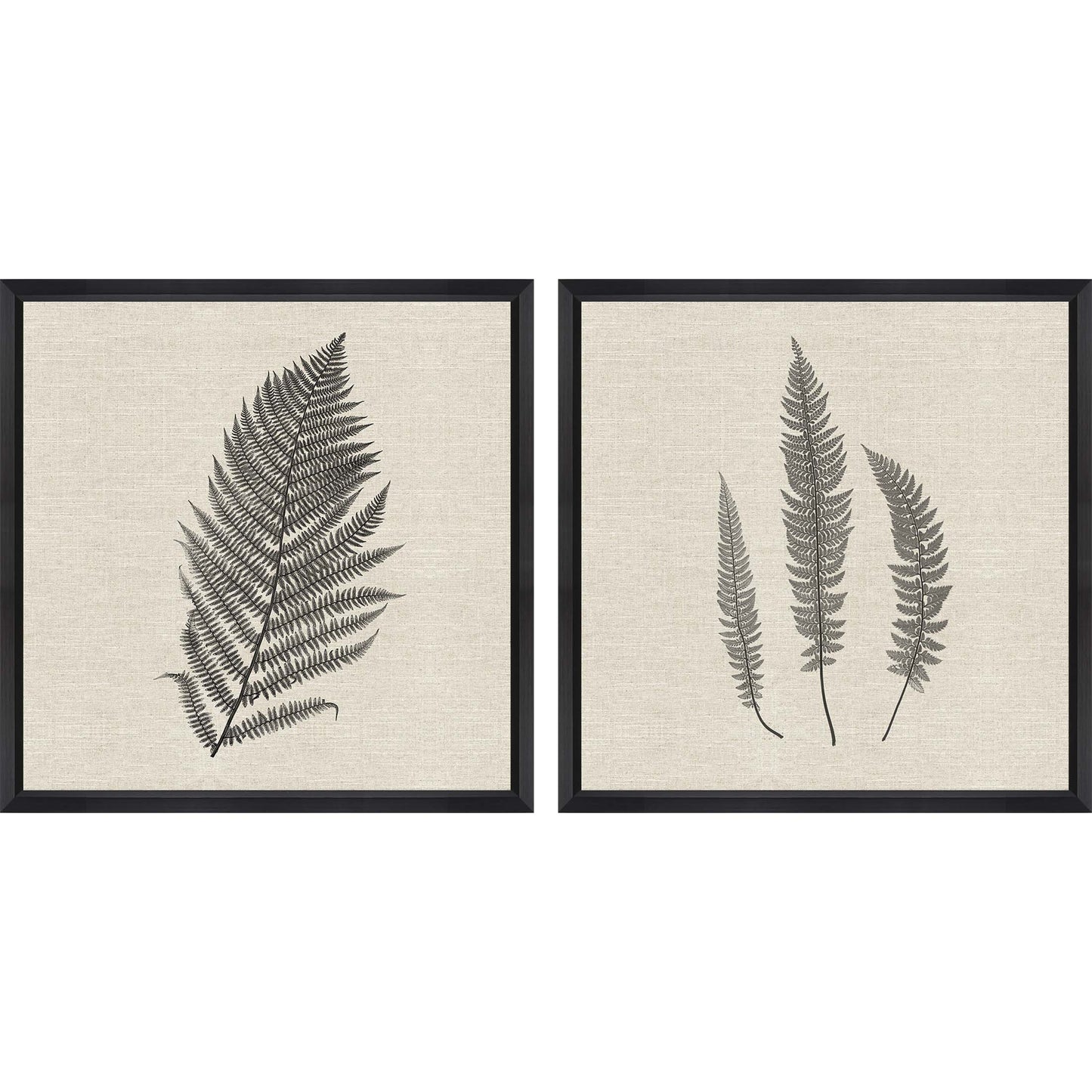 Paragon Modern Ferns II S/2