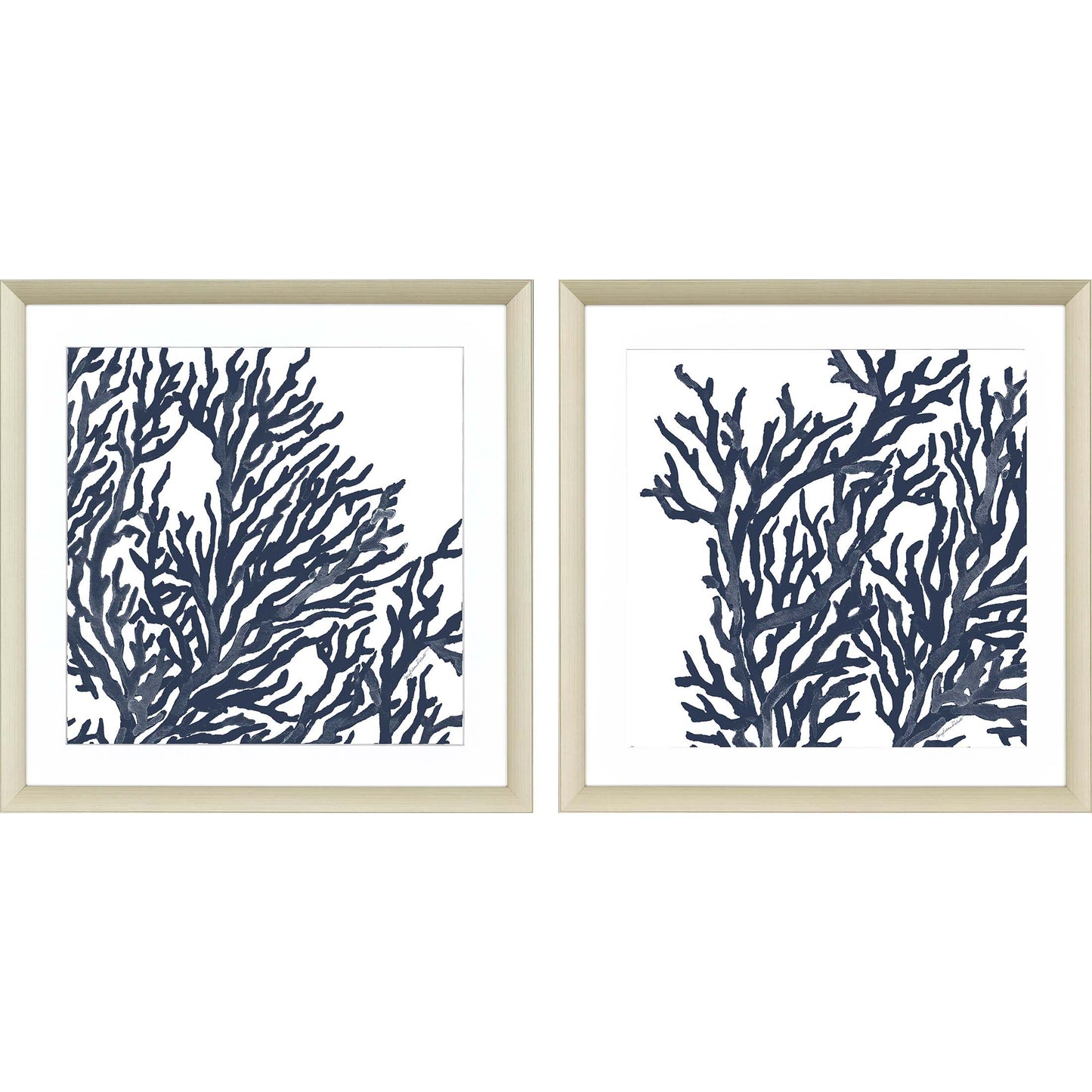 Paragon Blue Coral I S/2
