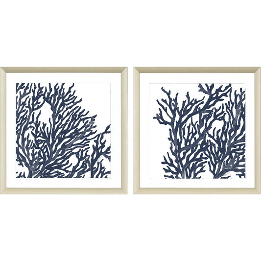 Paragon Blue Coral I S/2
