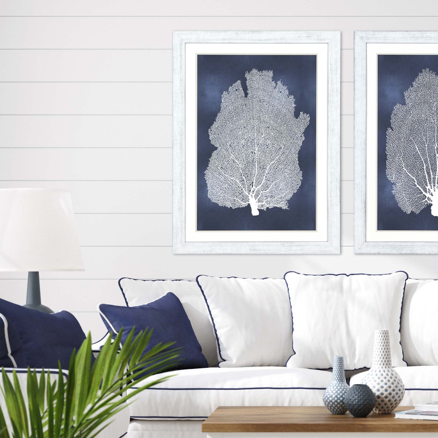 Paragon Sea Fan on Blue I