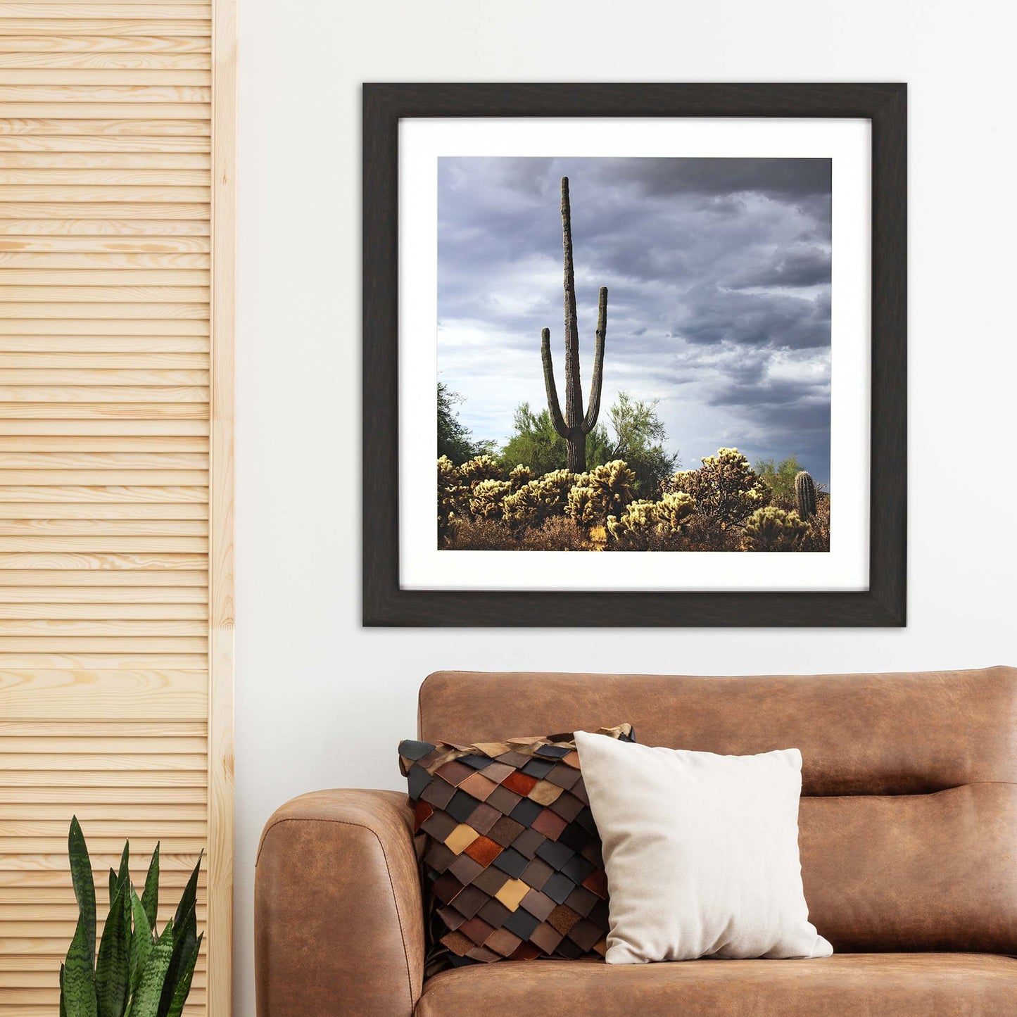 Paragon Saguaro Centurion