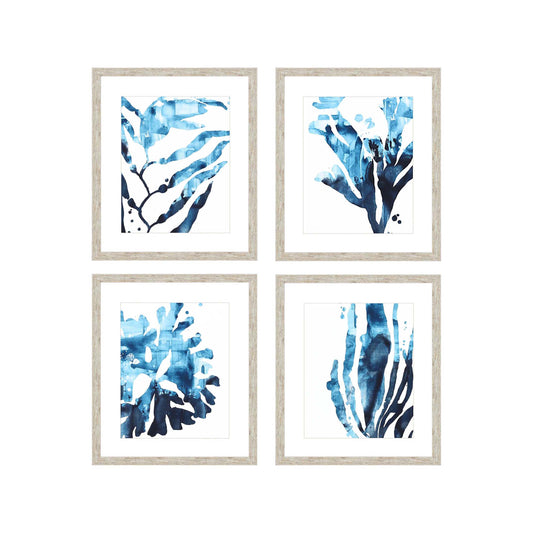 Paragon Inkwash Kelp S/4