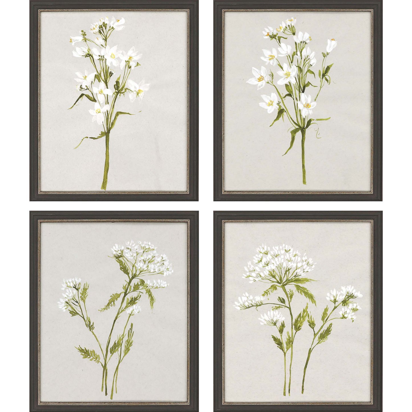 Paragon White Field Flowers S/4