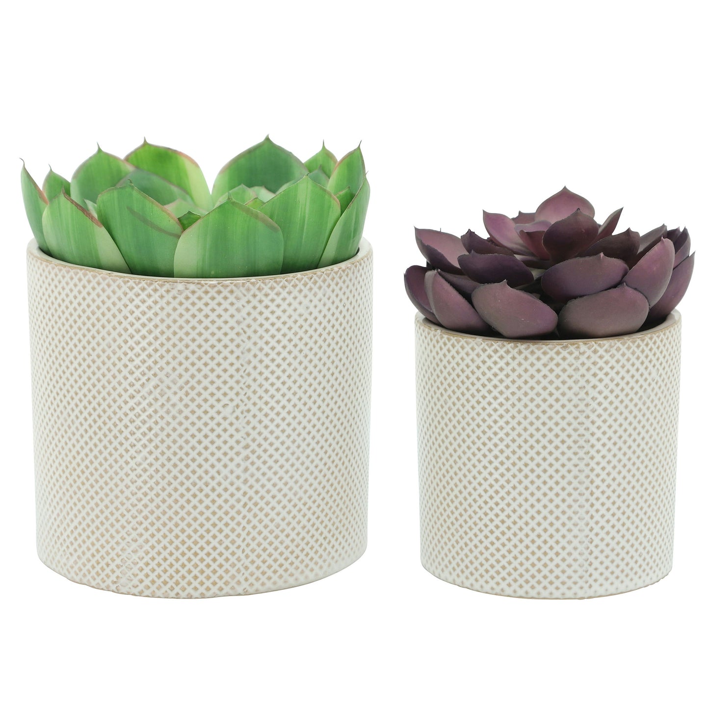 S/2 Ceramic 7/5" Planters, White/tan Dot