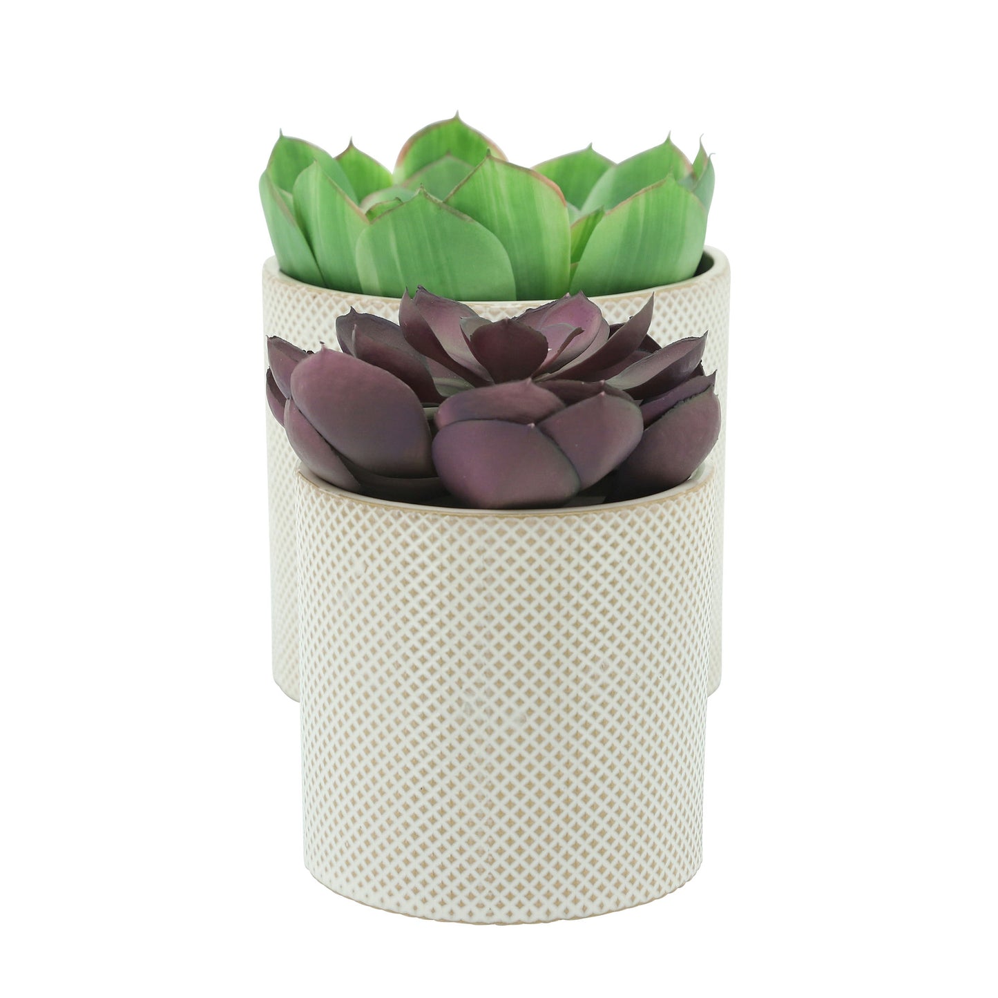 S/2 Ceramic 7/5" Planters, White/tan Dot