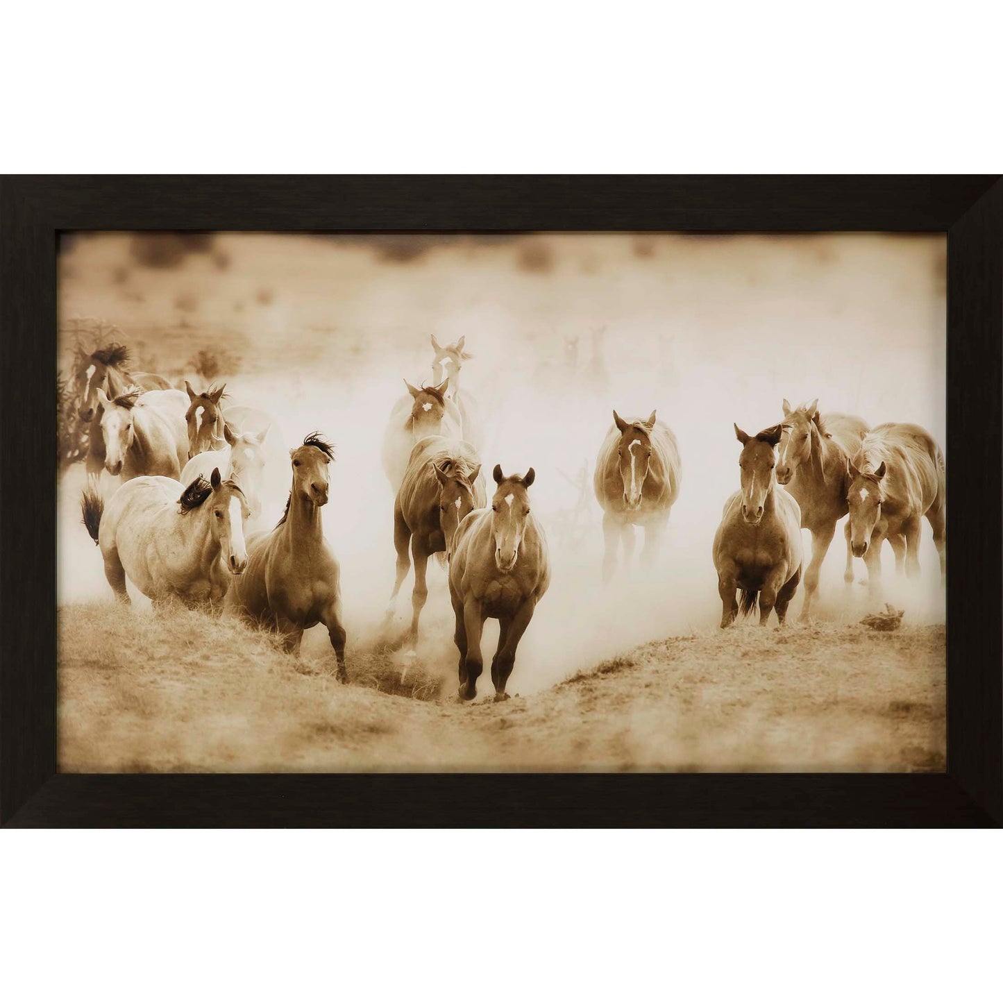 Paragon San Cristobol Horses