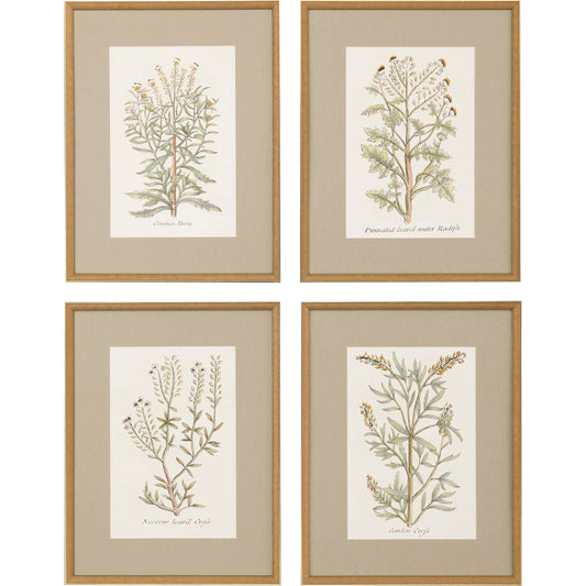 Paragon Botanical Plants S/4