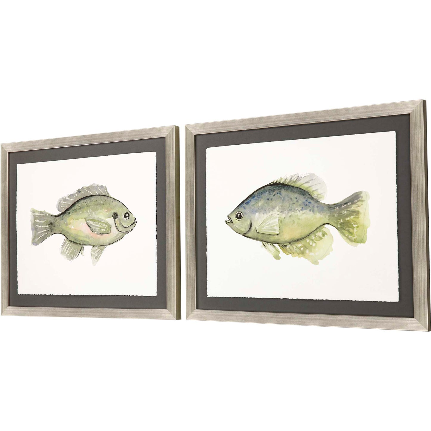 Paragon Blue Gill/Crappie S/2