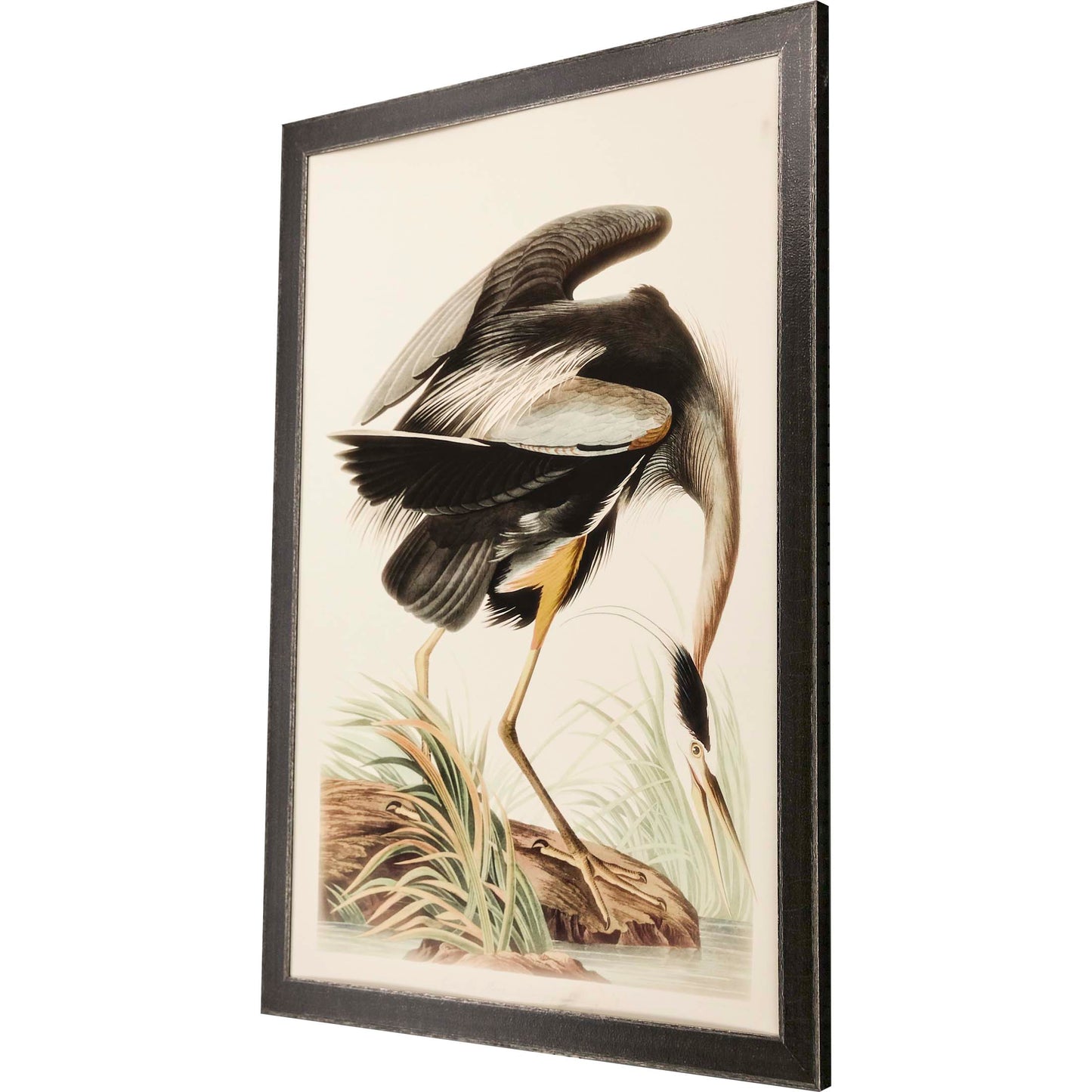 Paragon Great Blue Heron