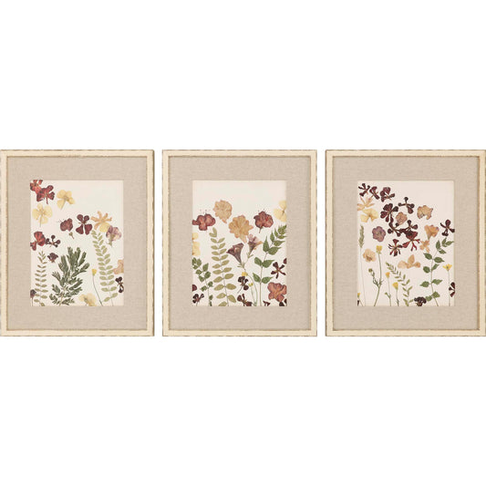 Paragon Pressed Flowers I S/3