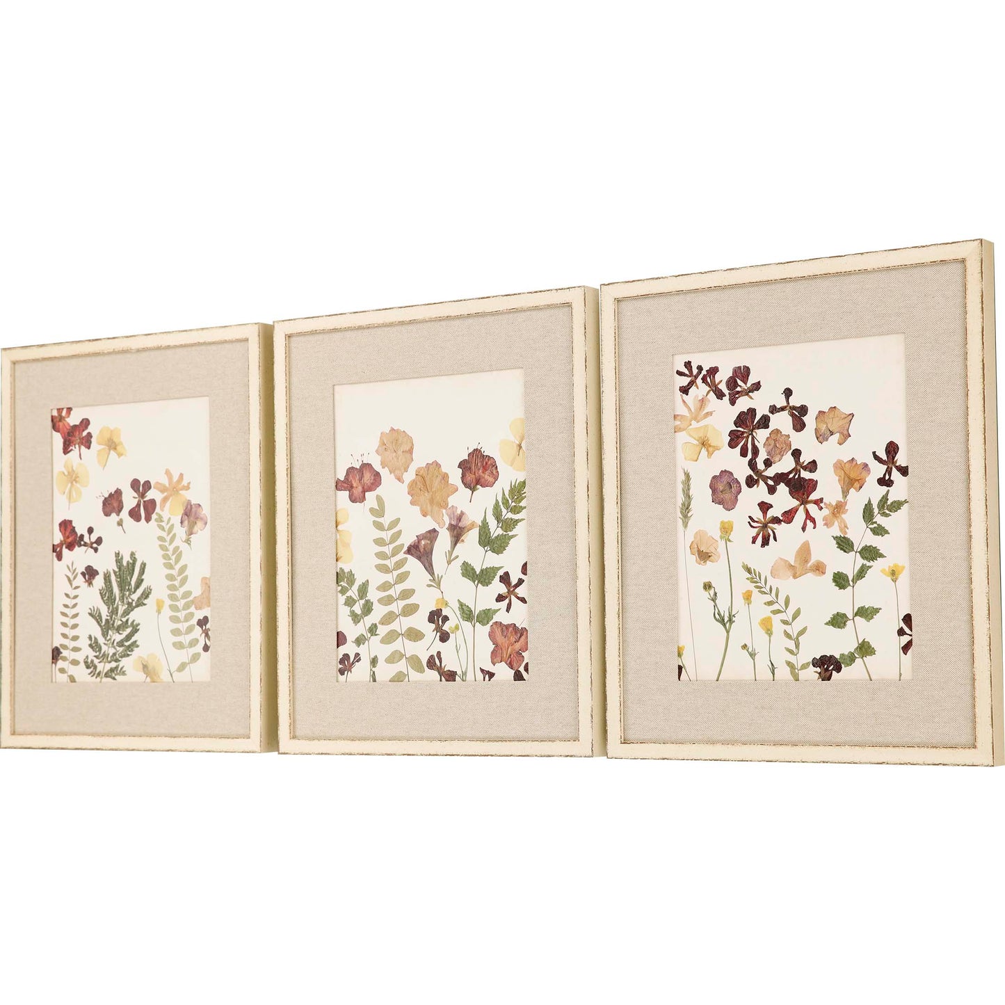 Paragon Pressed Flowers I S/3