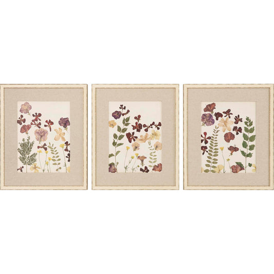 Paragon Pressed Flowers II S/3