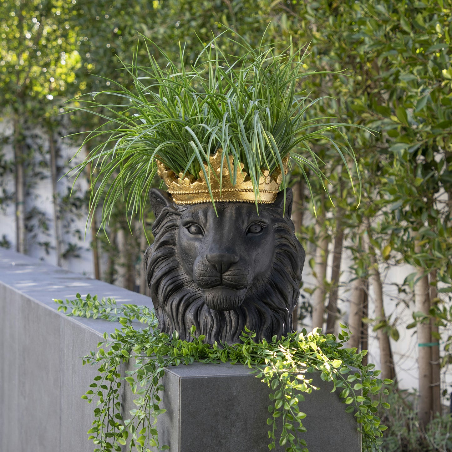 Resin 16" Lion W/crown, Black