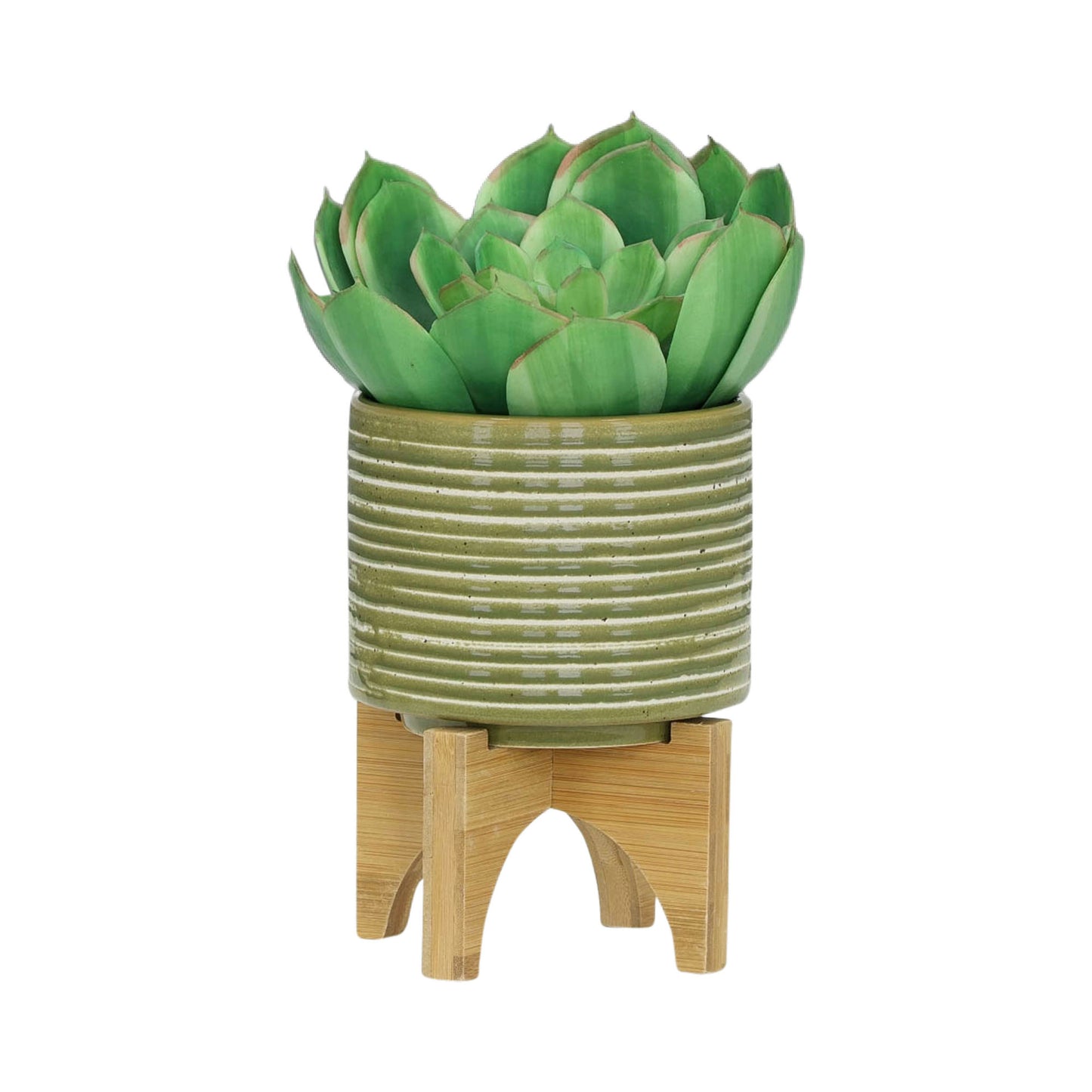 Cer, S/2 5/8" Planter On Wooden Stand, Olive