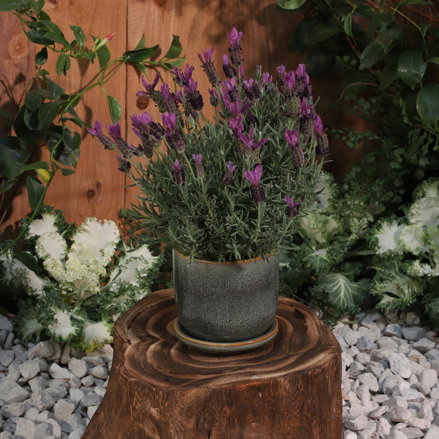 Ceramic 6" Planter W/ Saucer, Aqua