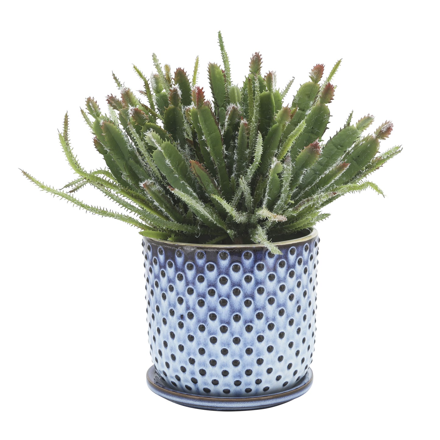 Ceramic 6" Dotted Planter W/ Saucer, Blue