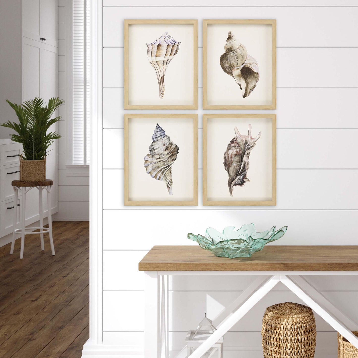 Paragon Watercolor Seashell S/4