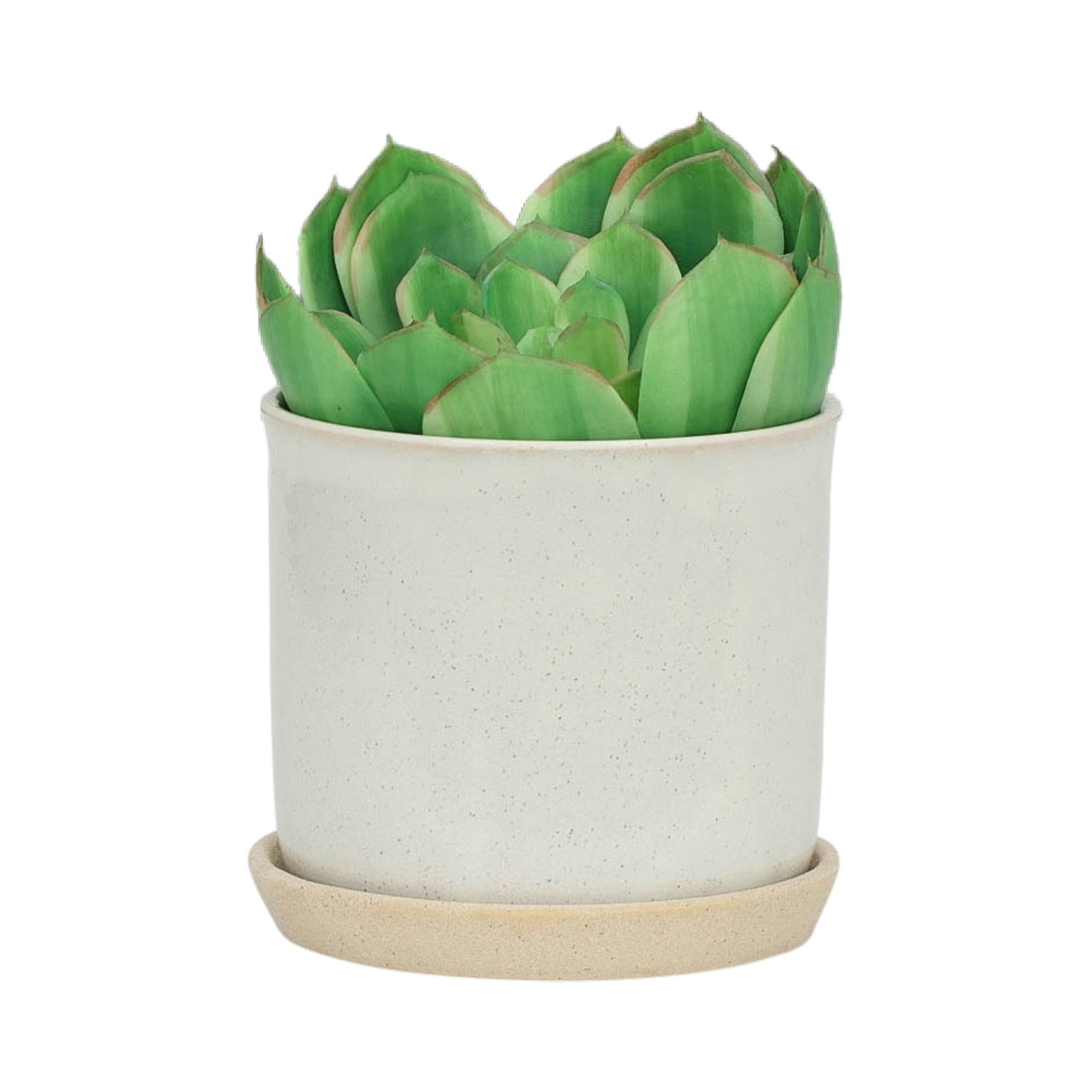 S/2 Ceramic 6/8" Planter W/ Saucer, Beige, No pattern