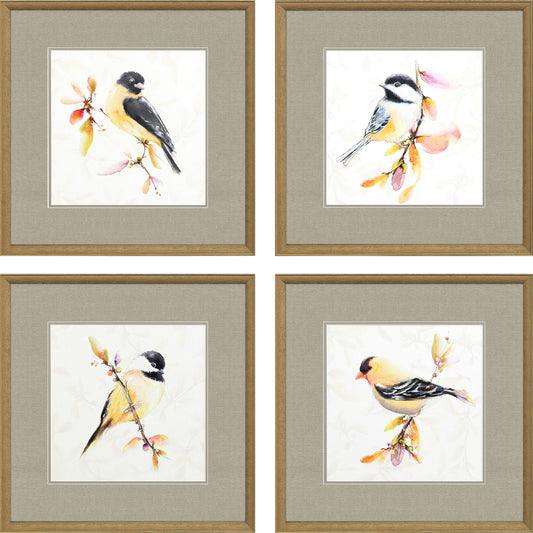 Paragon Watercolor Chickadee S/4