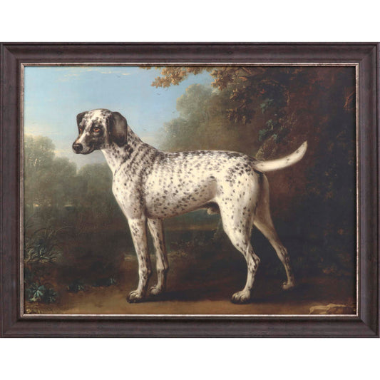 Paragon Grey Spotted Hound