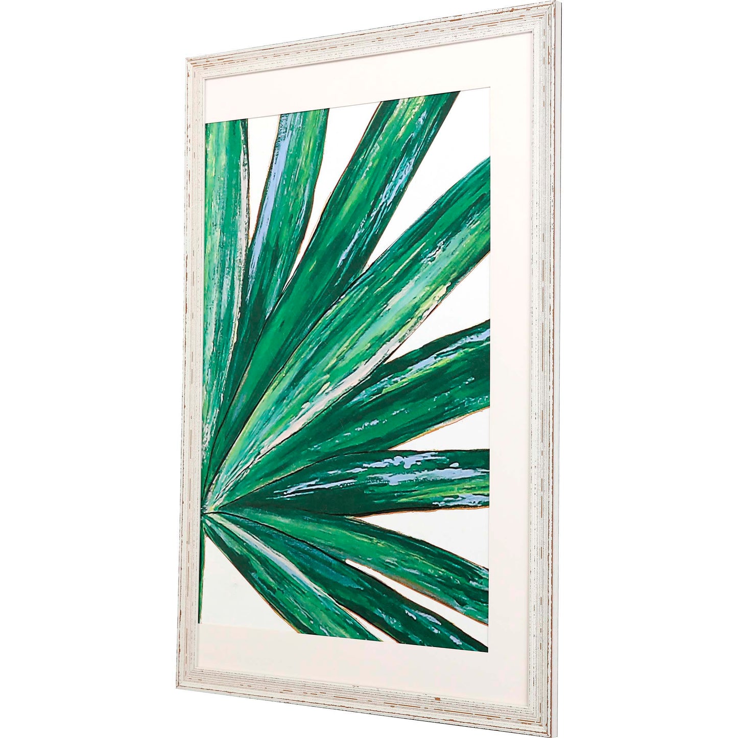 Paragon Frond II