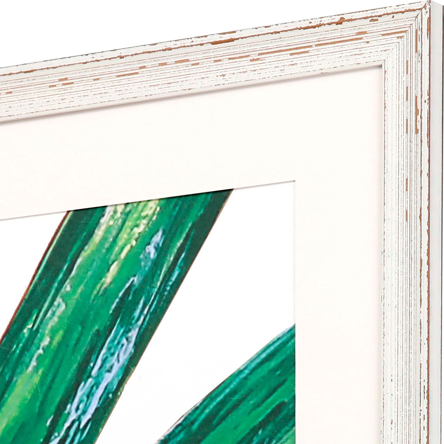 Paragon Frond II